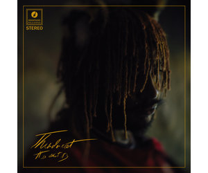Thundercat - It Is What It Is (Red Vinyl) - Pop Music