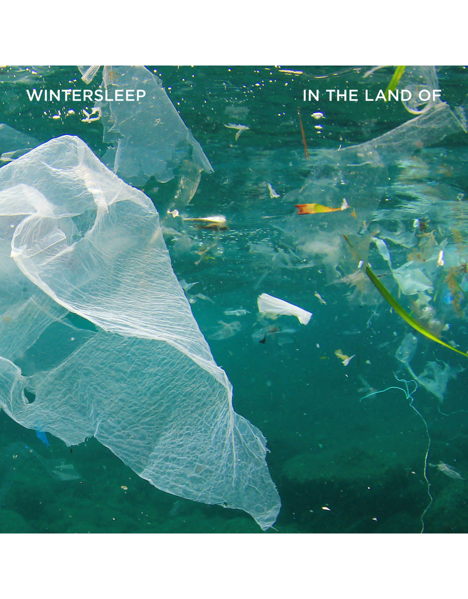 Wintersleep - In The Land Of