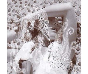 Björk Vespertine ポスター bjork-vespertine-vinyl.jpg