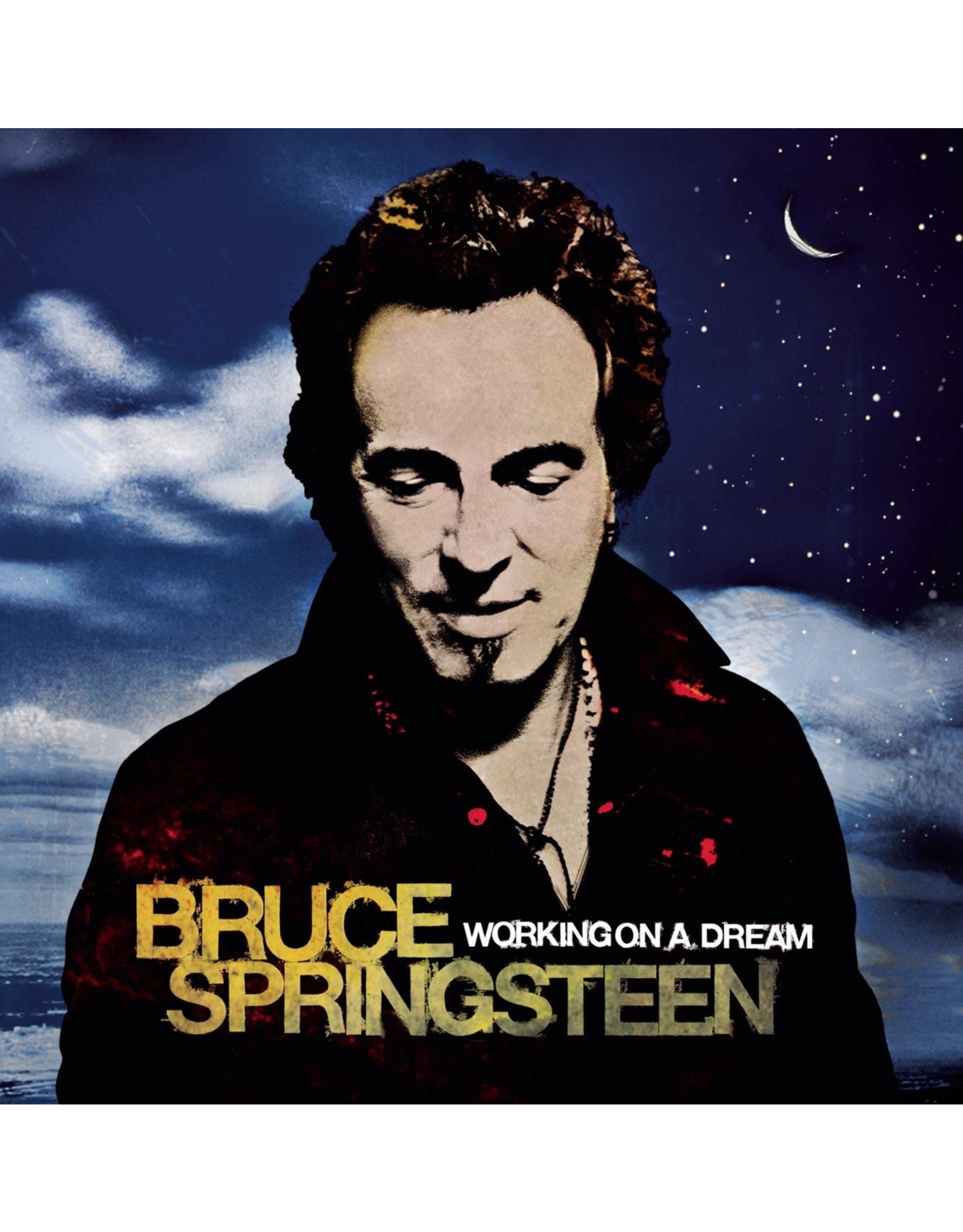 Bruce Springsteen - Working On A Dream