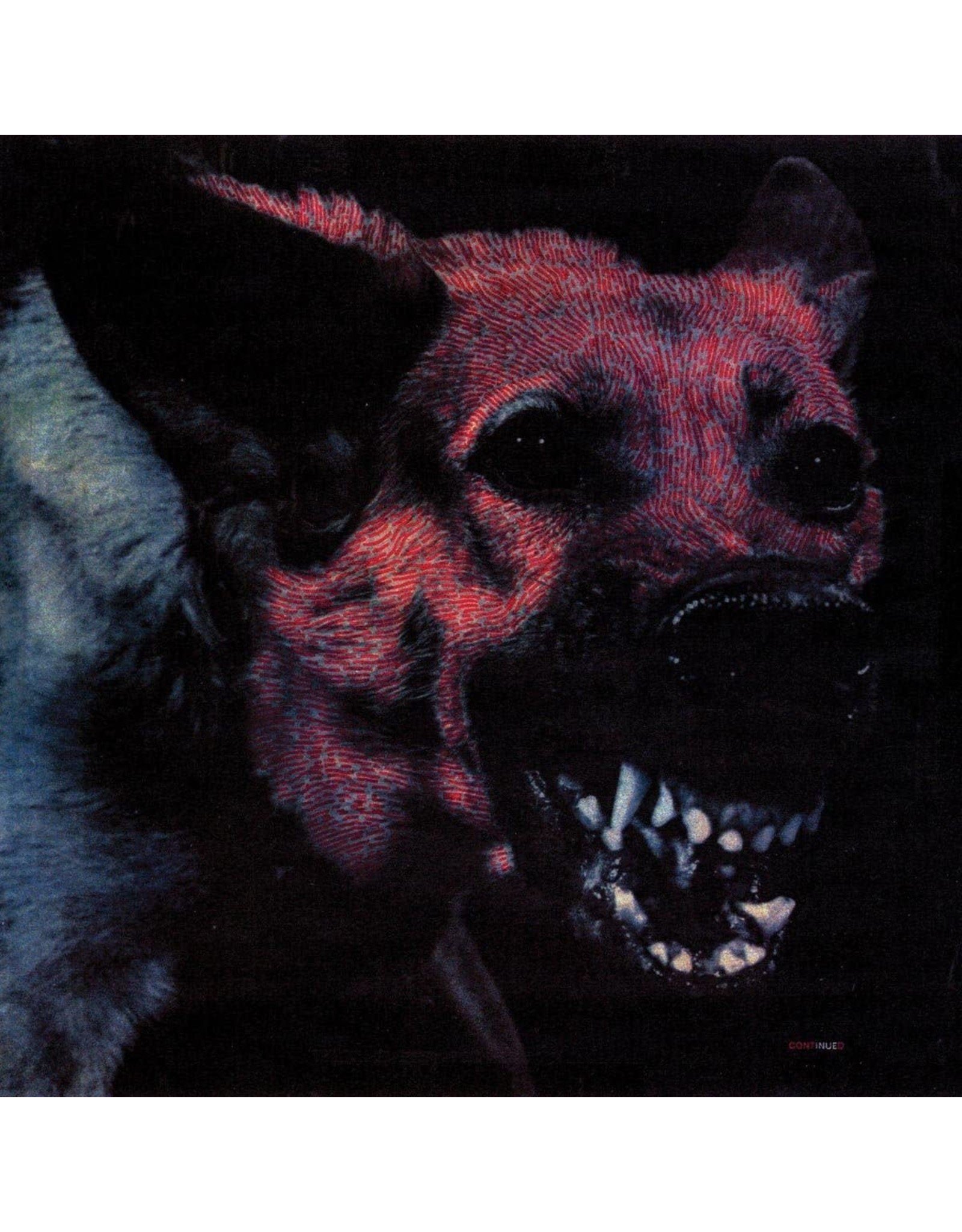 Protomartyr - Under Color of Official Right