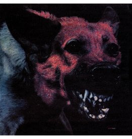 Protomartyr - Under Color of Official Right