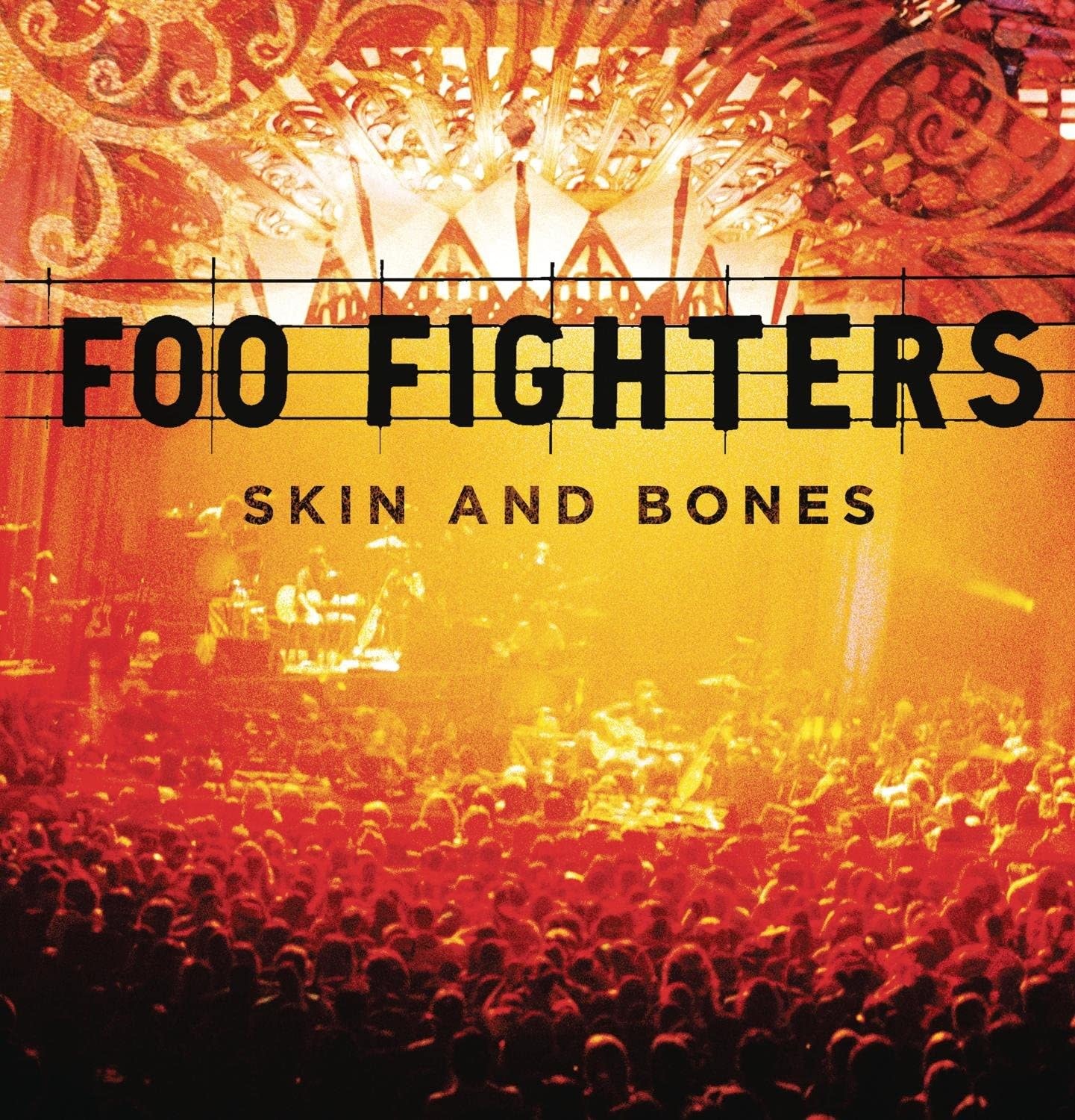 foo-fighters-skin-and-bones.jpg