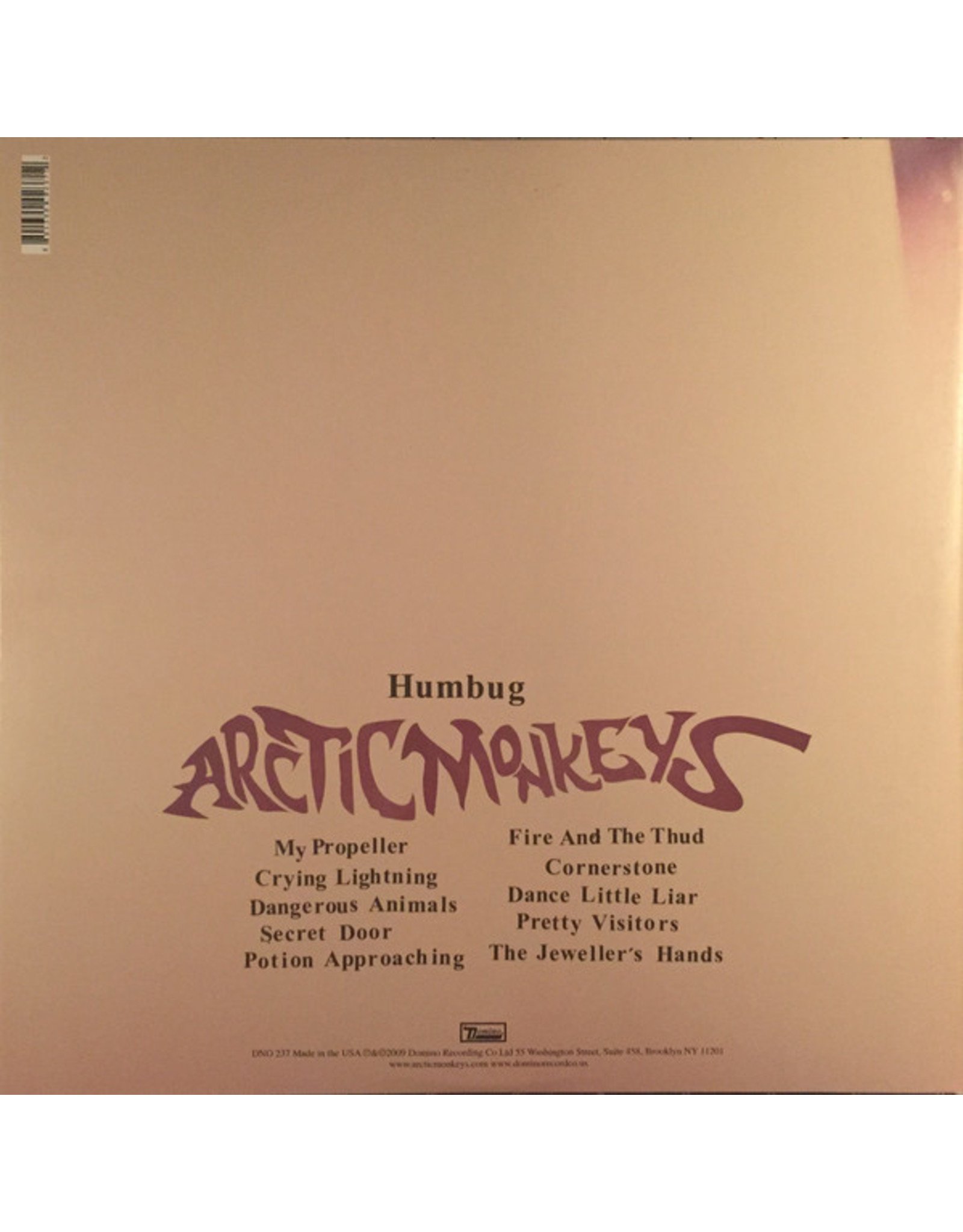 Arctic Monkeys Painted Vinyl Record