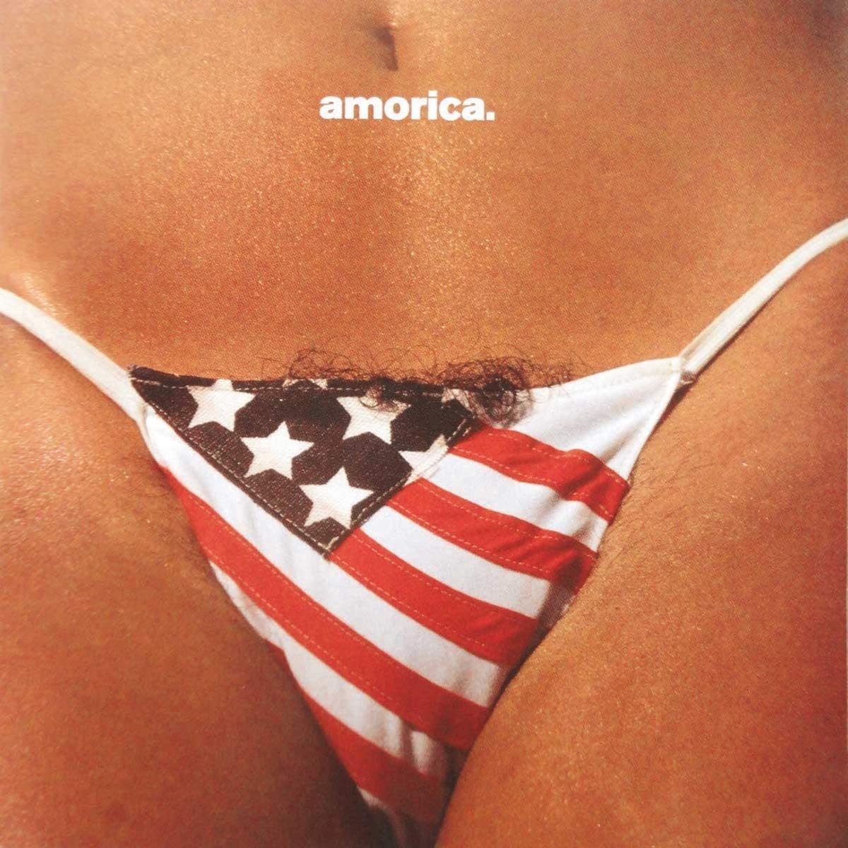 THE BLACK CROWES / amorica LPレコード black-crowes-amorica.jpg