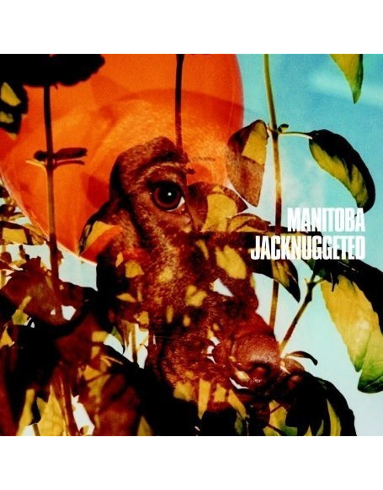 Caribou (Manitoba) - Jacknuggeted EP (12" Single)