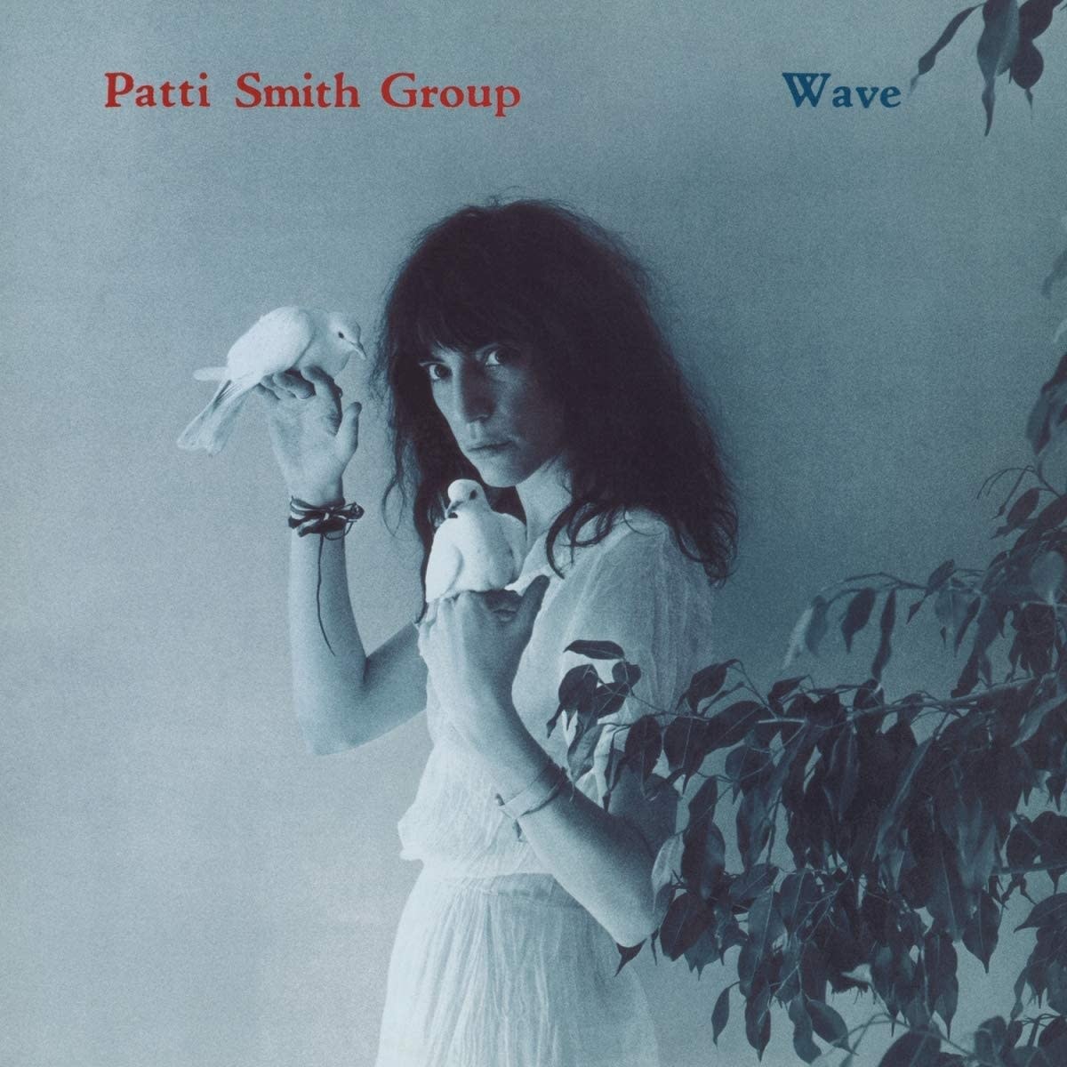 patti-smith-group-wave.jpg