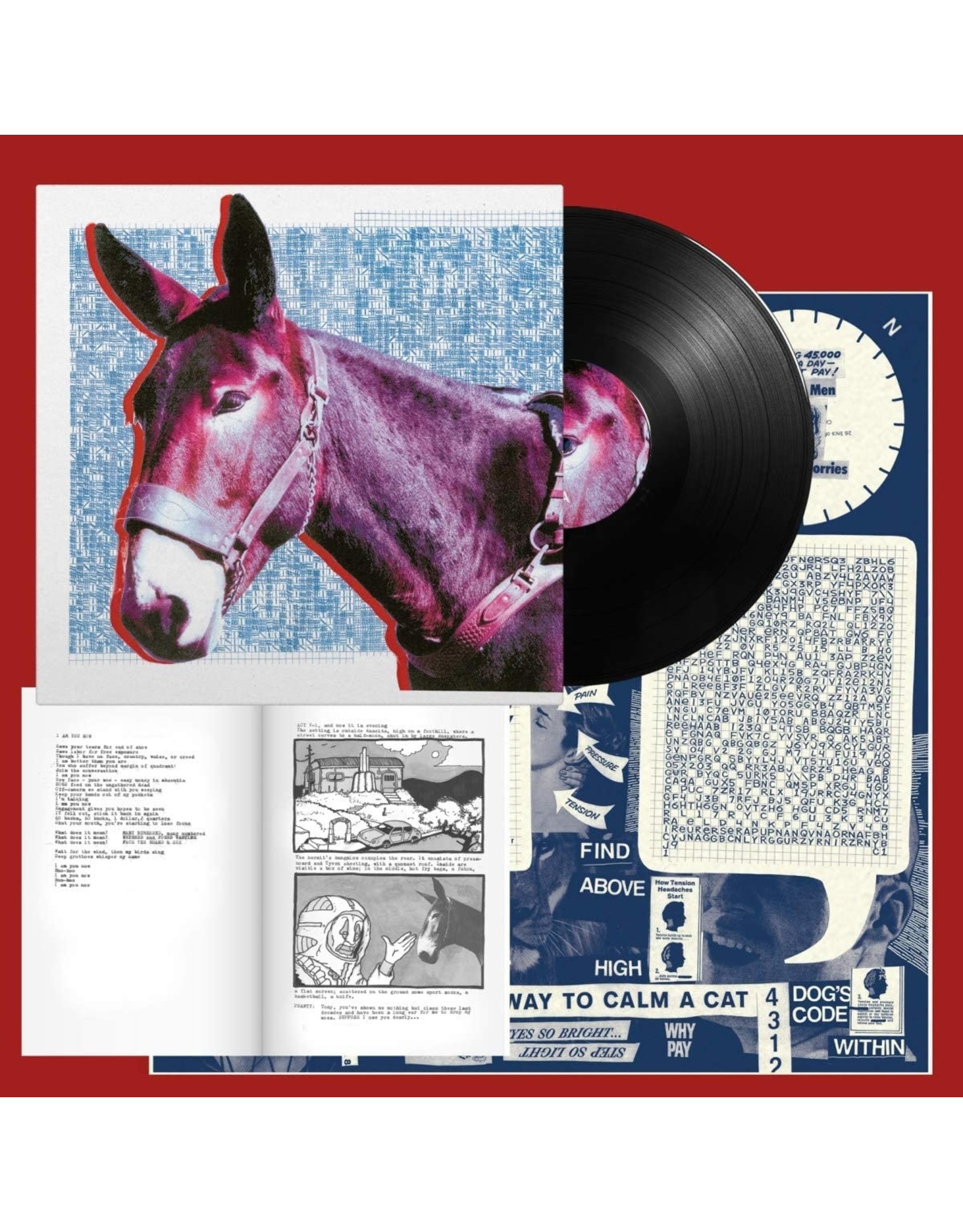 Protomartyr - Ultimate Success Today