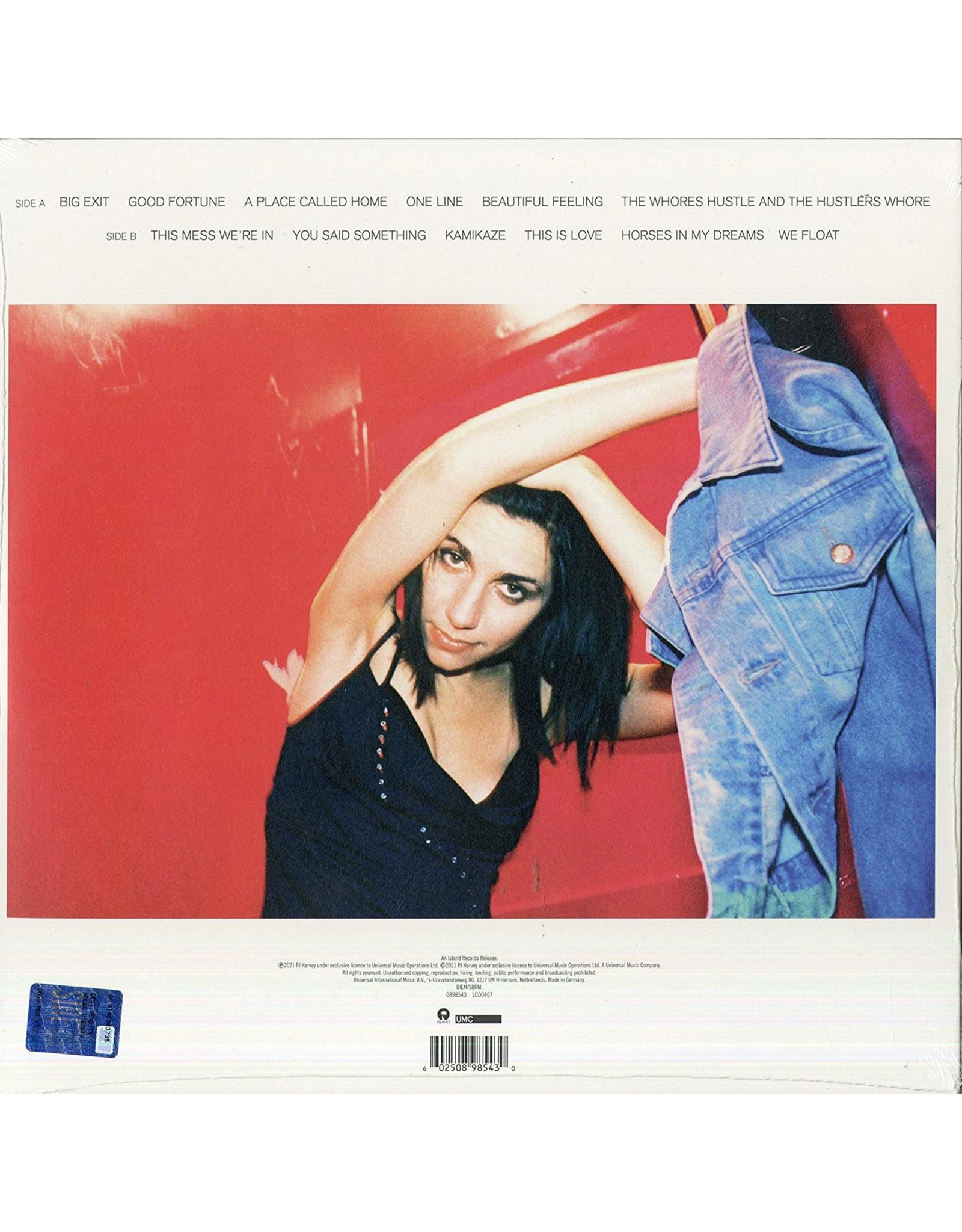 PJ Harvey - Stories From The City, Stories From The Sea (Demos)