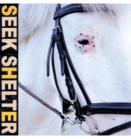 Iceage - Seek Shelter (Exclusive Orange Vinyl)