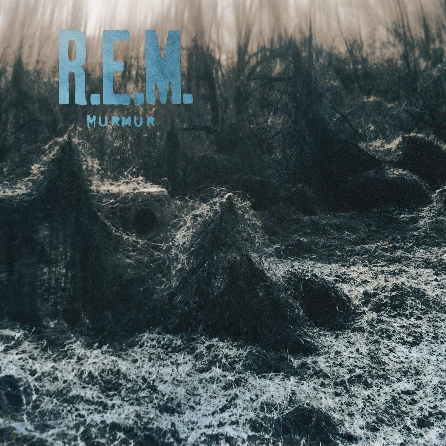 R.E.M. - Murmur (2009 Remaster) [Vinyl] - Pop Music