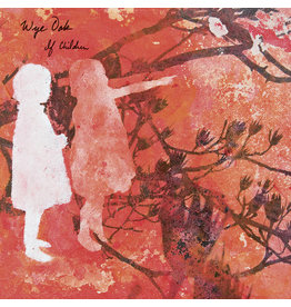 Wye Oak - If Children (Exclusive Splatter Vinyl)