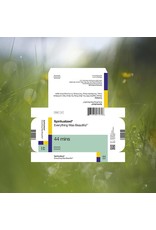 Spiritualized - Everything Was Beautiful (Exclusive Pink Vinyl)