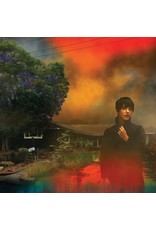 Sharon Van Etten - We've Been Going About This All Wrong (Exclusive Marbled Smoke Vinyl)