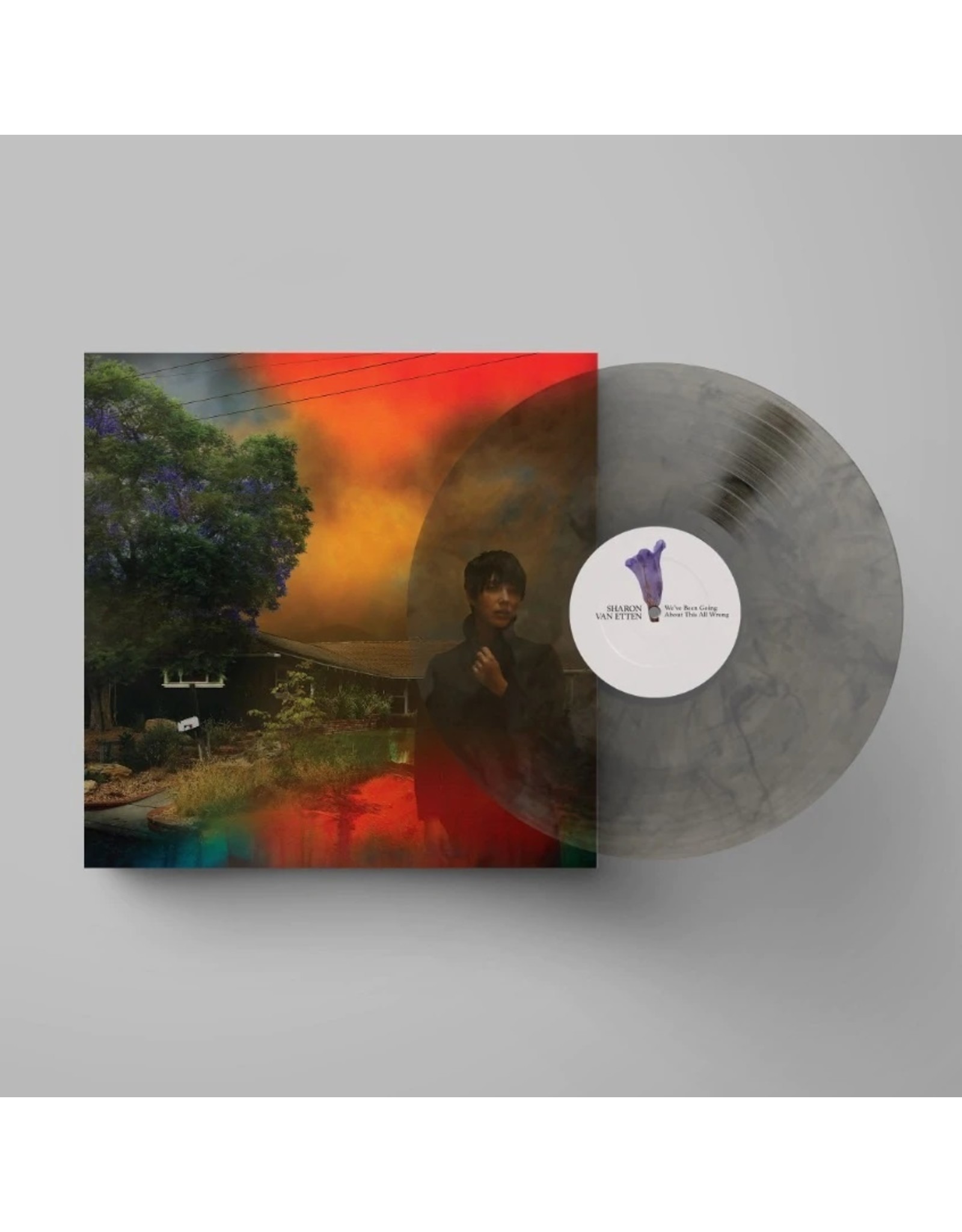 Sharon Van Etten - We've Been Going About This All Wrong (Exclusive Marbled Smoke Vinyl)