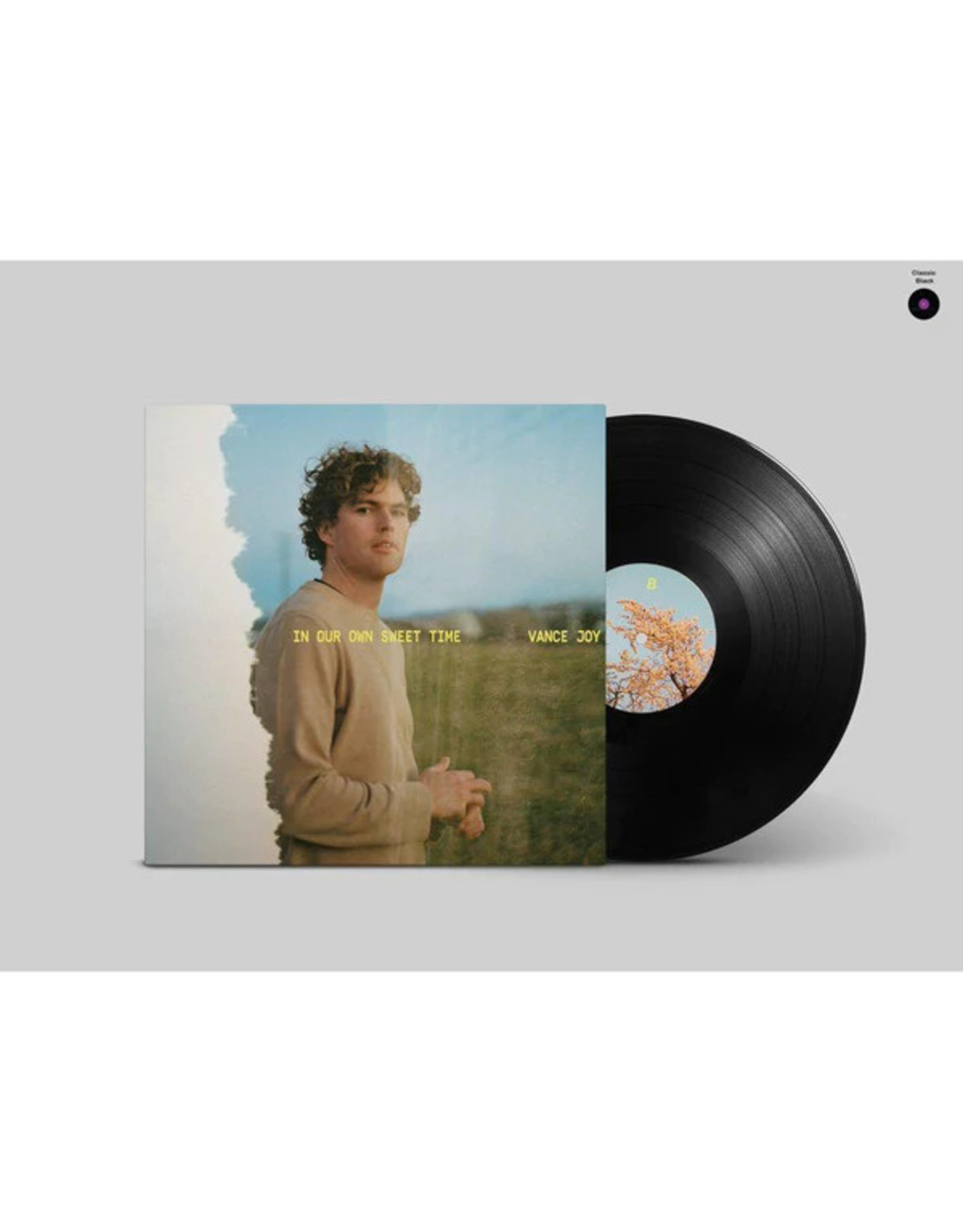 Vance Joy - In Our Own Sweet Time