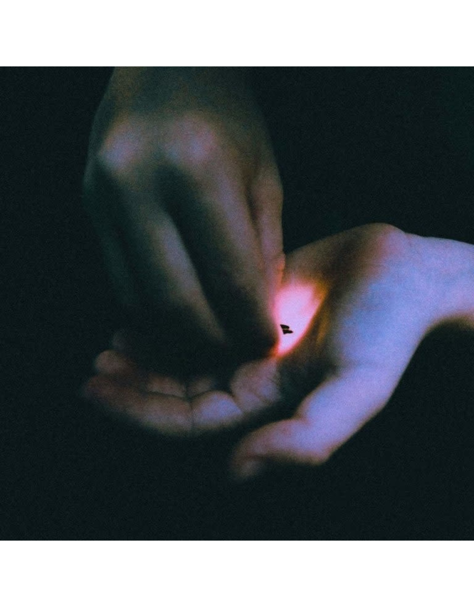 Bambara - Stray (Exclusive Clear Vinyl)