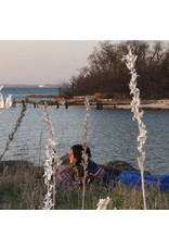 Weyes Blood - Cardamom Times (2020 Edition)
