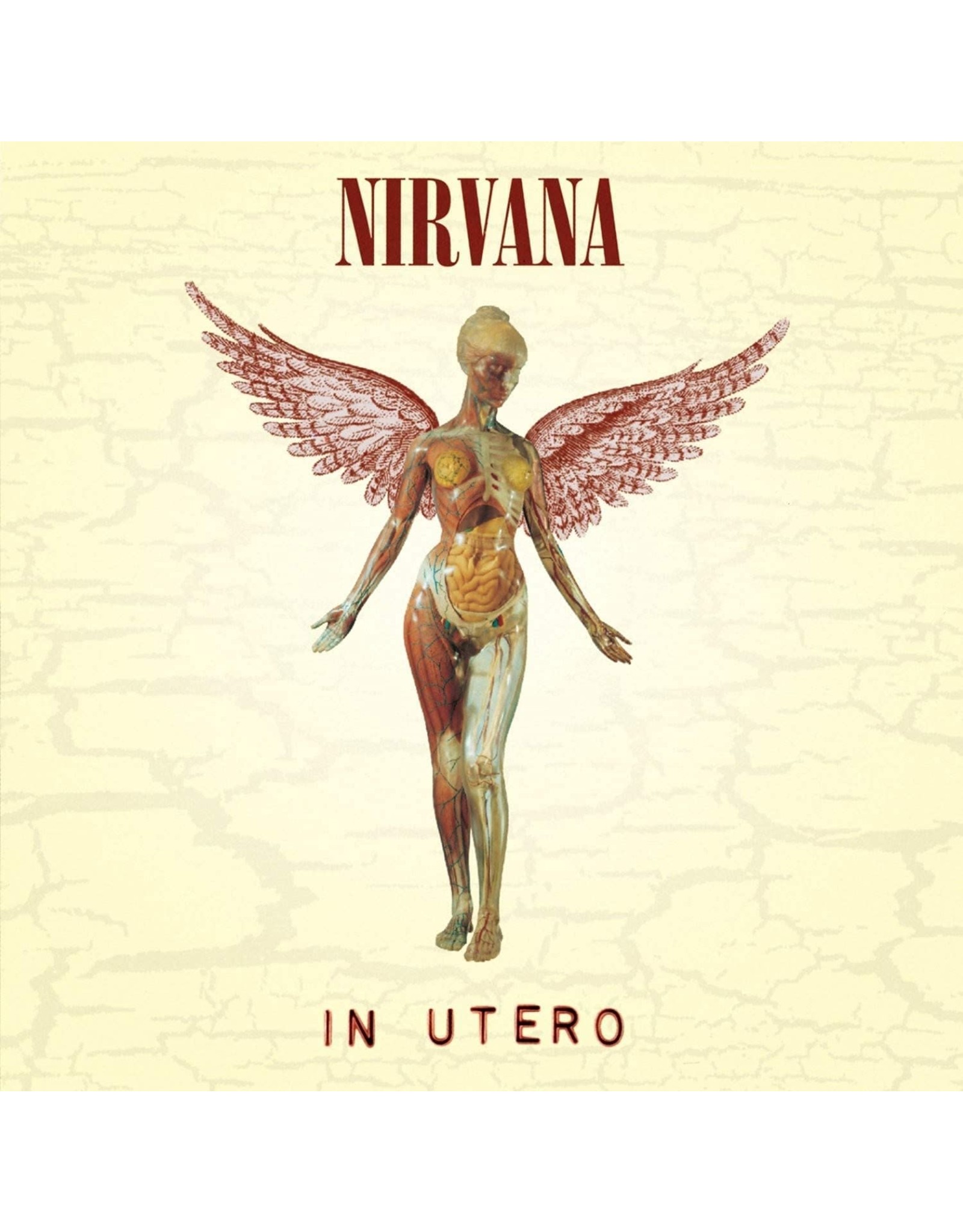 Nirvana - In Utero (2022 Edition)