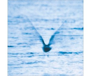 LP 福居良 Ryo Fukui – Mellow Dream Ryo Fukui - Mellow Dream – Inner Ocean Records