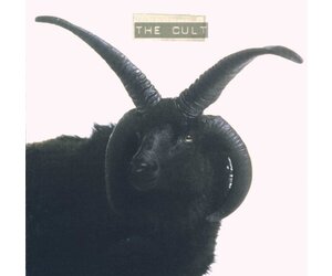 春野 CULT CD cult-the-cult-exclusive-ivory-