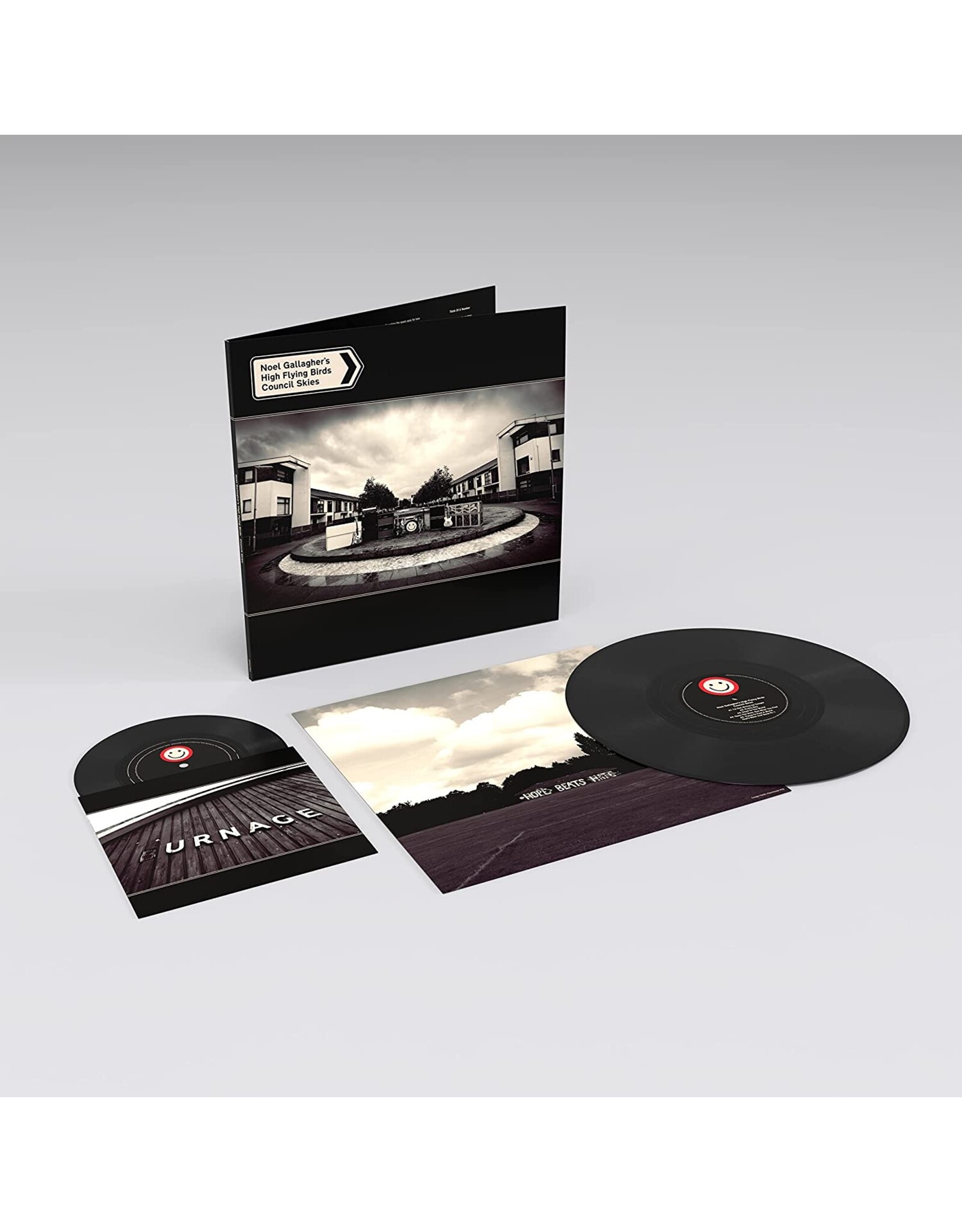 Noel Gallagher's High Flying Birds - Council Skies