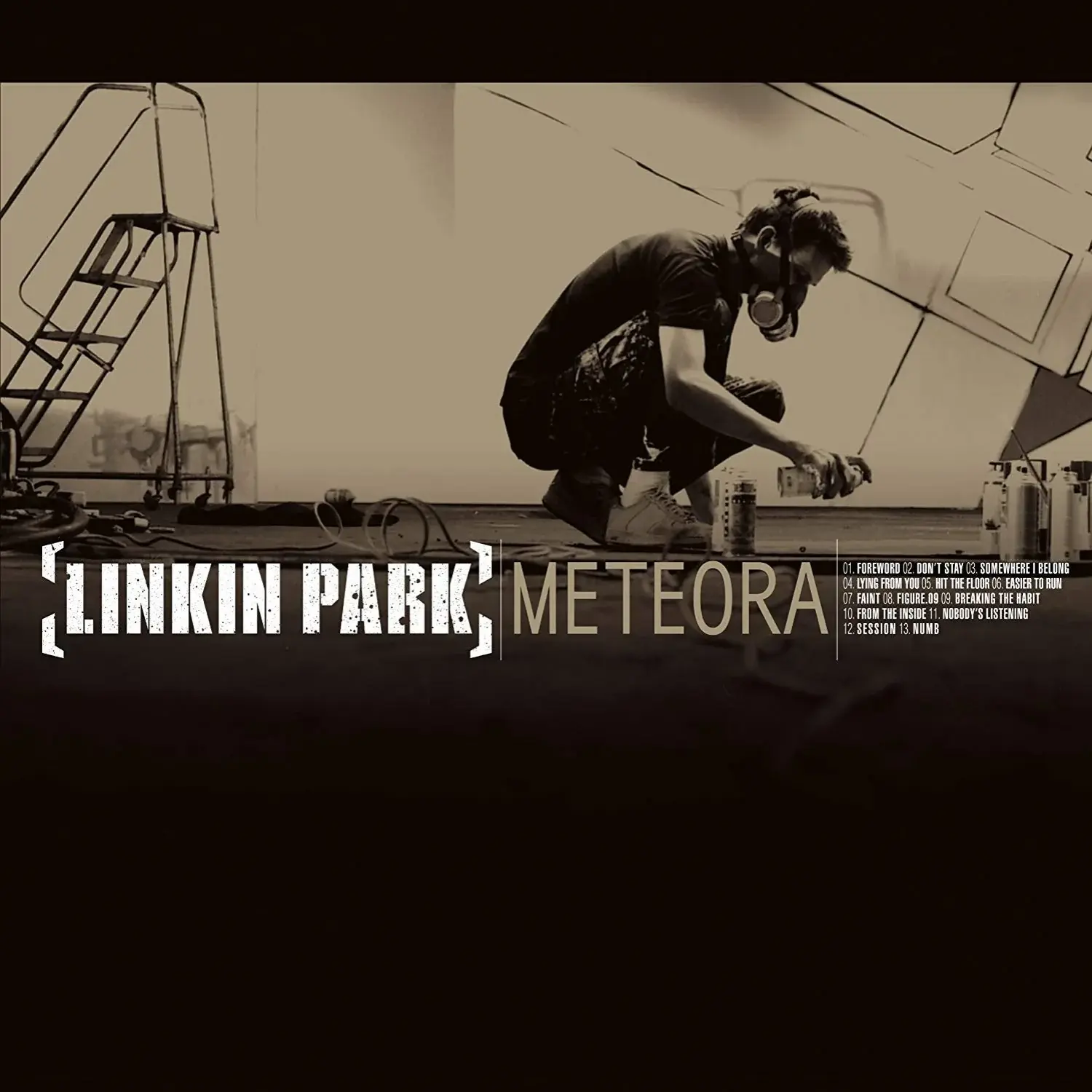 高品質 LINKIN PARK レコード meteora 洋楽 - mahaayush.in