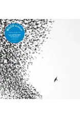 Wilco - Sky Blue Sky (Exclusive Sky Blue Vinyl)