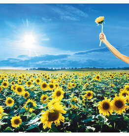 Stone Temple Pilots - Thank You (Greatest Hits) [Blue Vinyl]