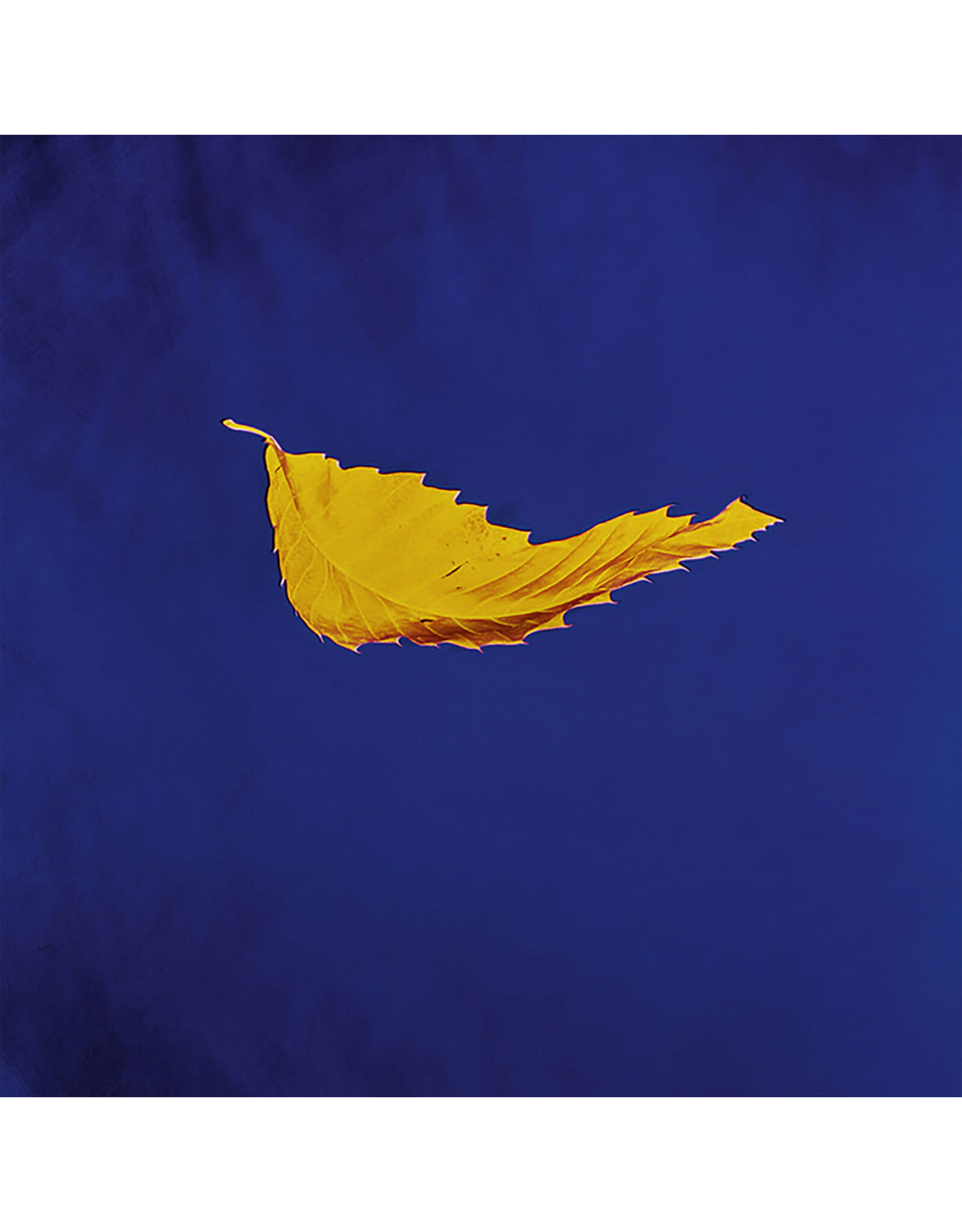 New Order - True Faith (12" Single) [2023 Remaster]