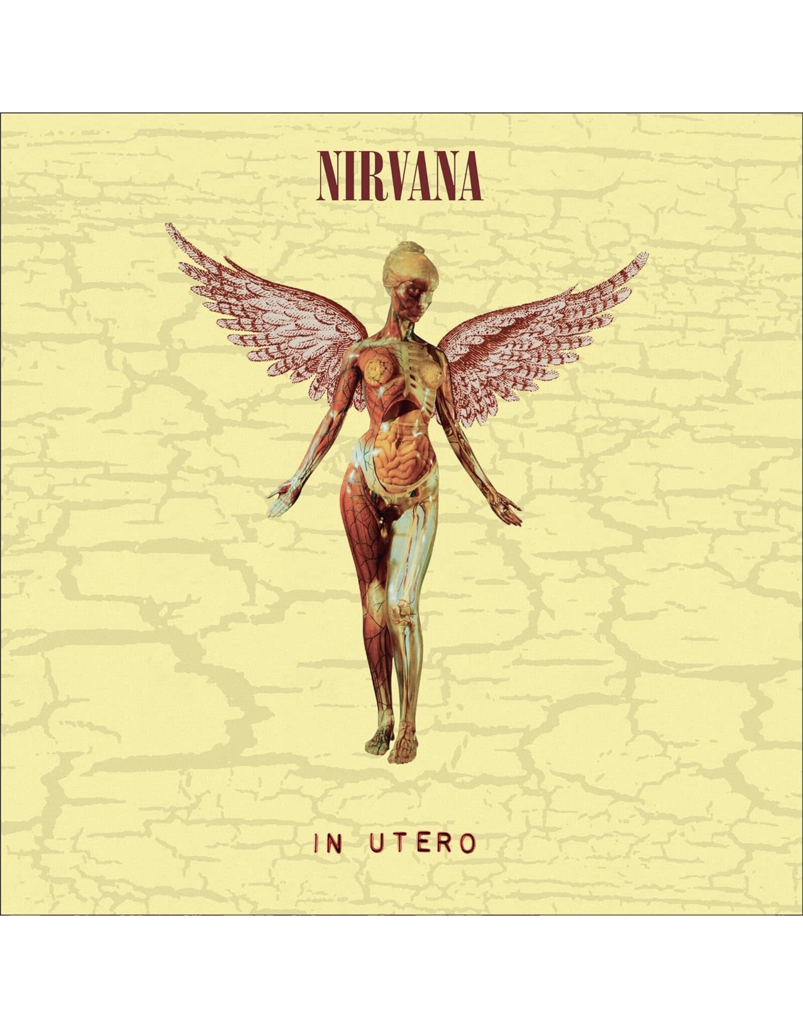 Nirvana - In Utero (30th Anniversary) [Super Deluxe Box Set]