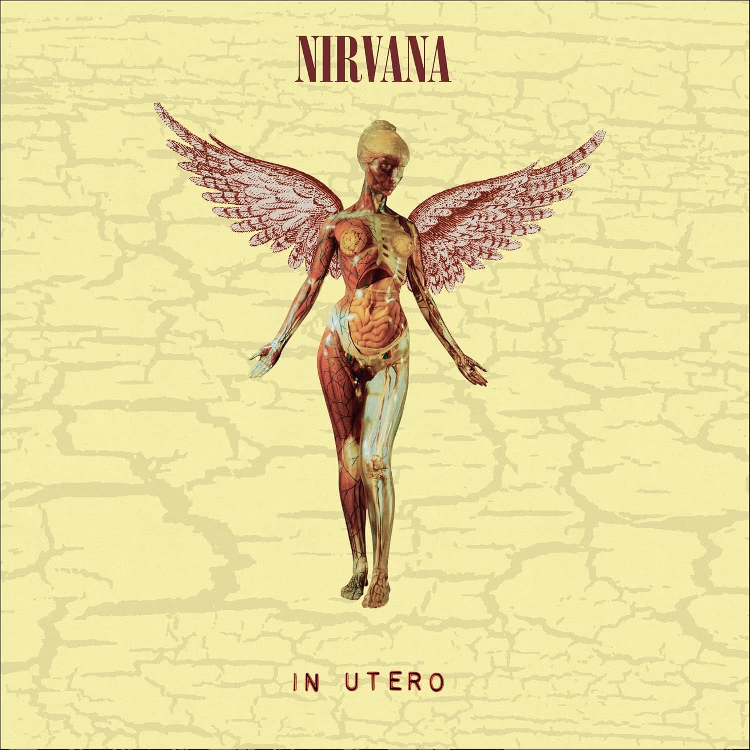 Nirvana - In Utero (30th Anniversary) [Super Deluxe Box Set Nirvana - In Utero (30th Anniversary) [Super Deluxe Box Set