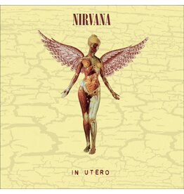 Nirvana - In Utero (30th Anniversary) [Deluxe Edition]