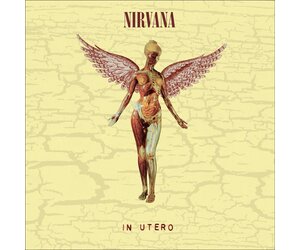 Nirvana - In Utero (30th Anniversary) [Deluxe Edition] (Vinyl
