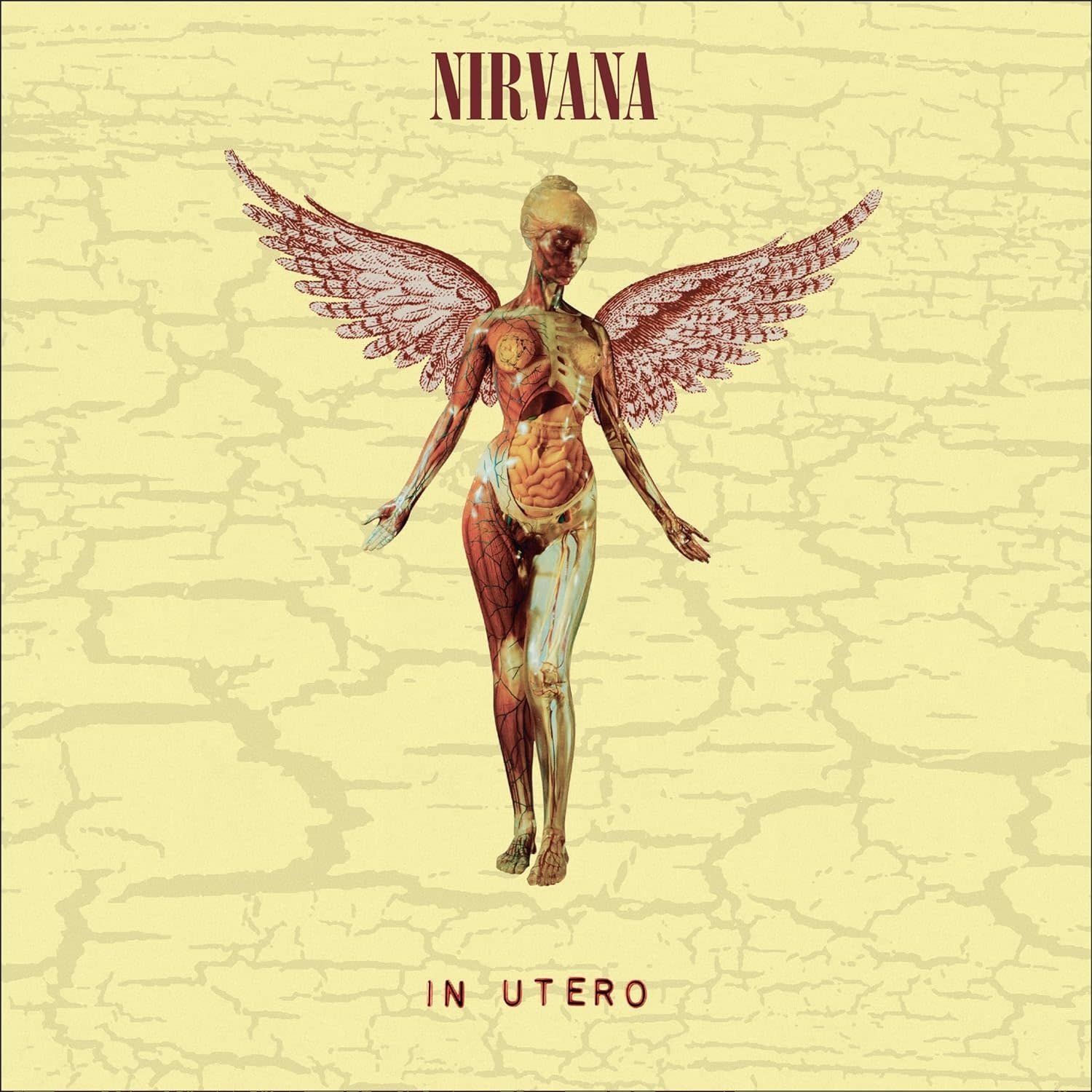 Nirvana In Utero 30th Anniversary Deluxe Edition Vinyl