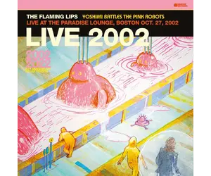 flaming-lips-live-2002-