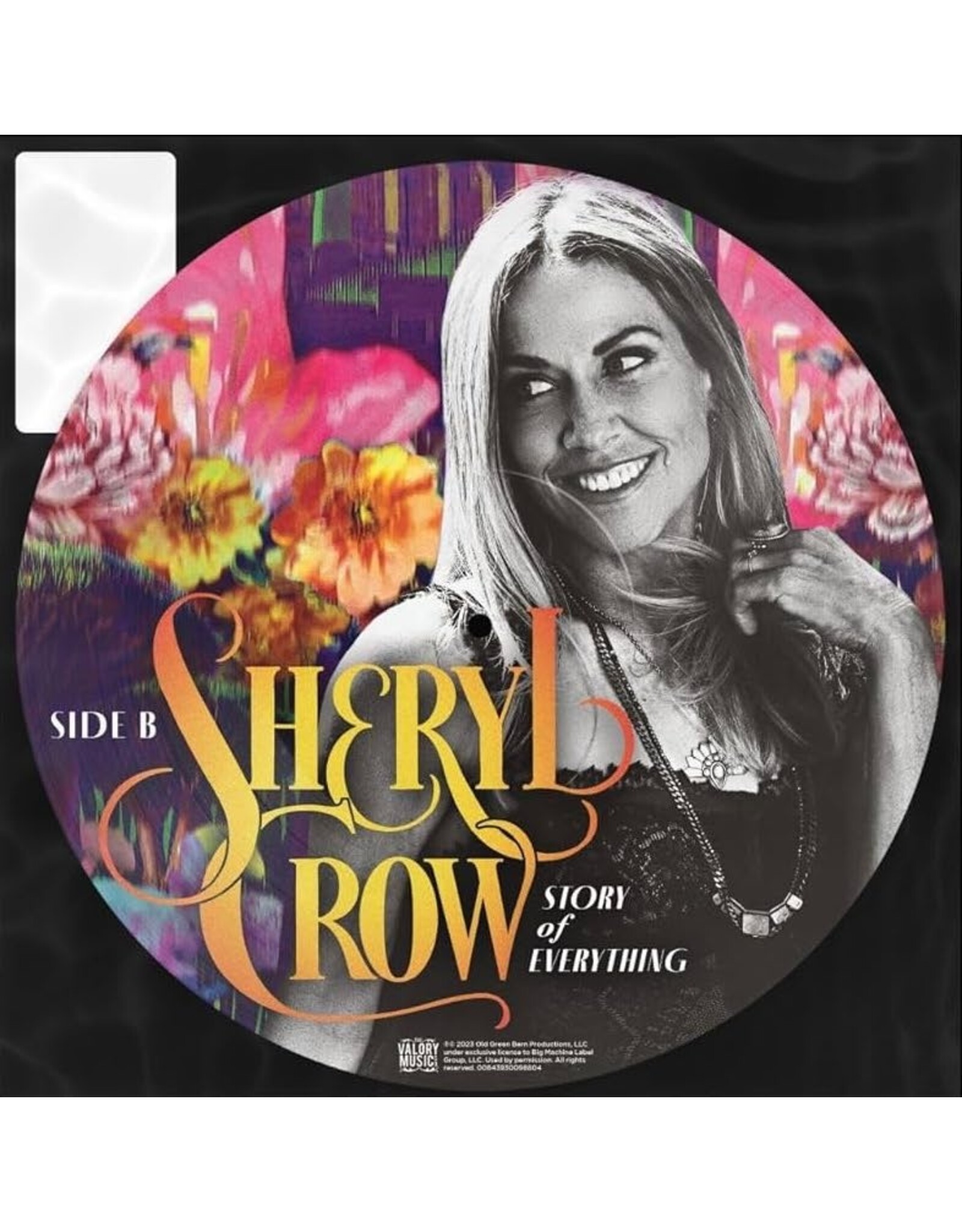 Sheryl Crow - Story Of Everything (Picture Disc)
