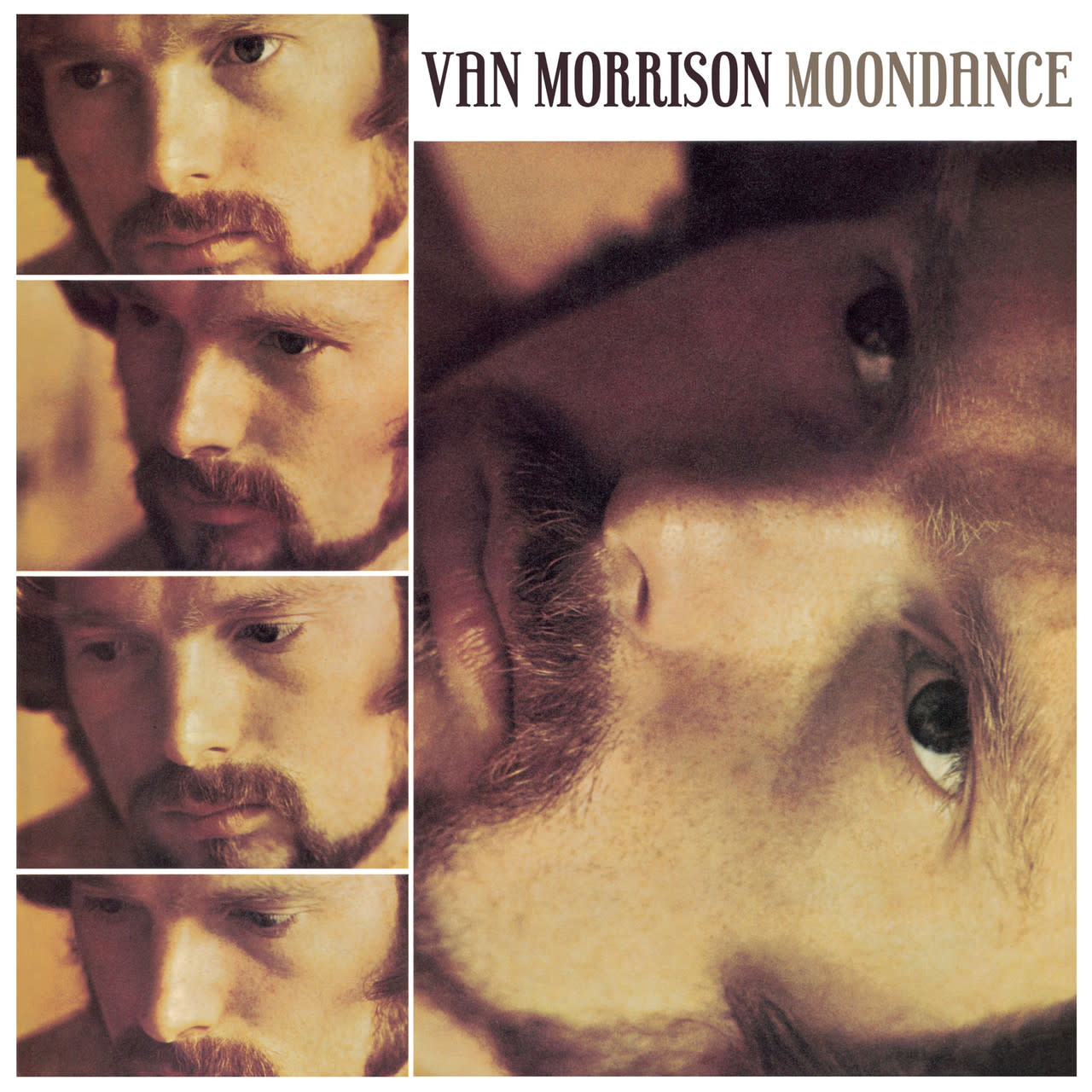 【25％OFF】 (Deluxe Moondance - Morrison Van Edition) Pop - Vinyl] [3LP 洋楽