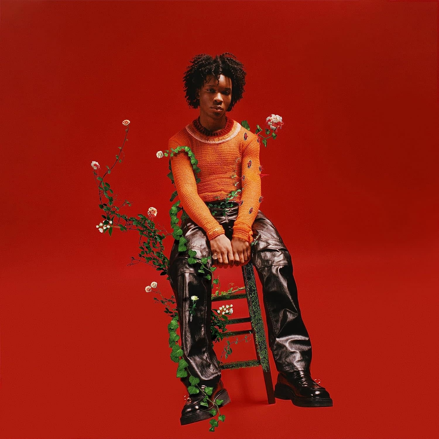 d4vd-petals-to-thorns-black-