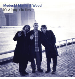 Medeski, Martin & Wood - It's a Jungle in Here