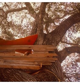 Backseat Lovers - Waiting To Spill