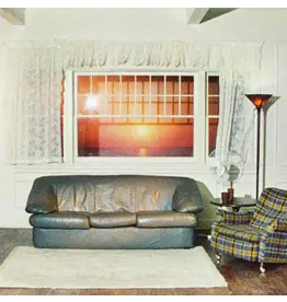 Wallows - Model (Clear Vinyl)