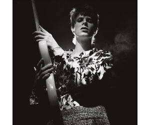 David Bowie / Rock ’N’ Roll Star! 輸入盤 david-bowie-rock-n-roll-star.jpg