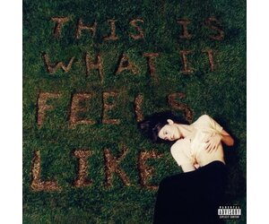 グレイシーエイブラムス-ThisIs WhatItFeelsLike特注ポスター Gracie Abrams - This Is What It Feels Like (Vinyl) - Pop Music