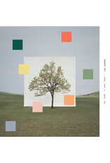 Washed Out - Notes From A Quiet Life (Honeydew Melon Vinyl)