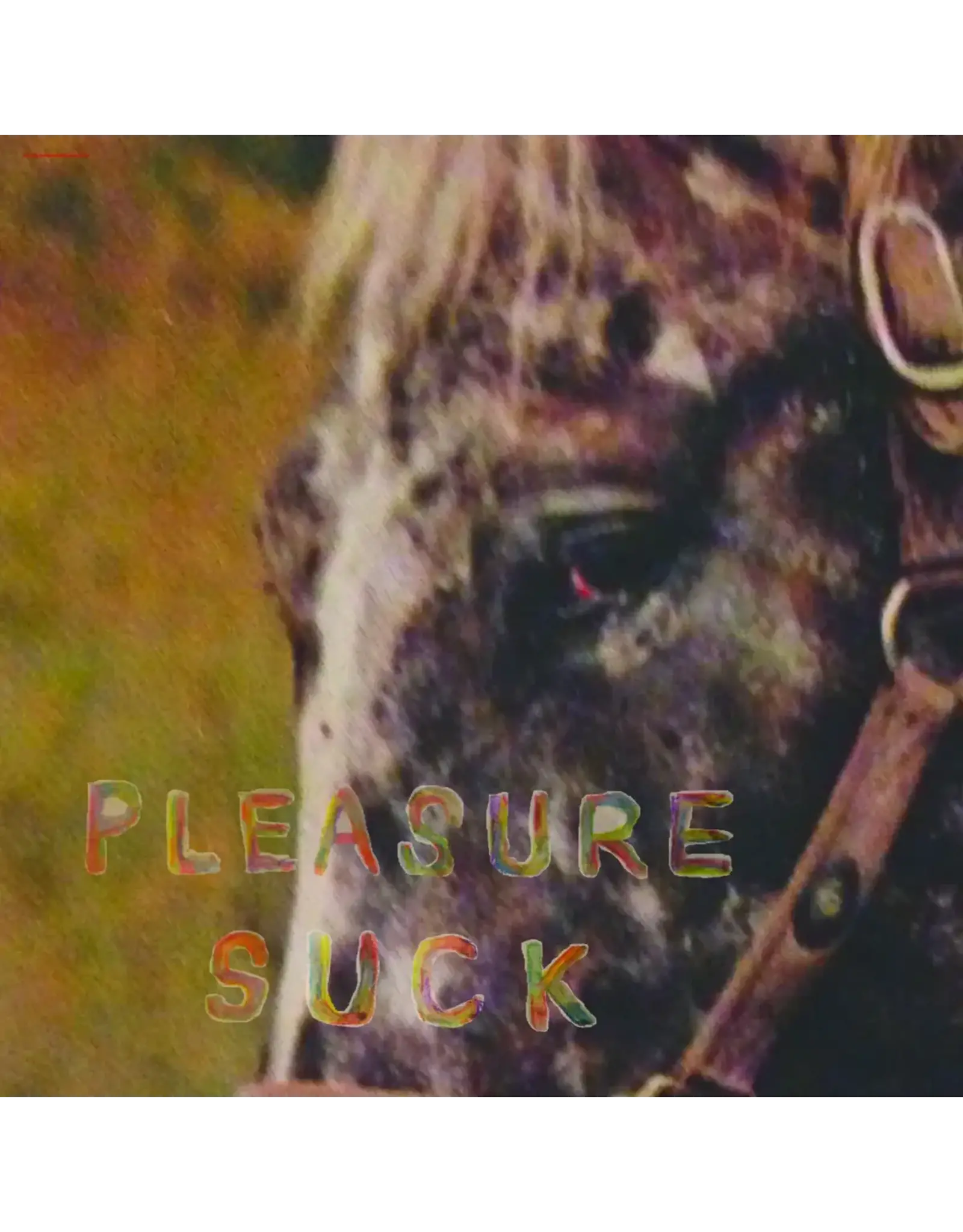 Spirit of the Beehive - Pleasure Suck (Orange Vinyl)