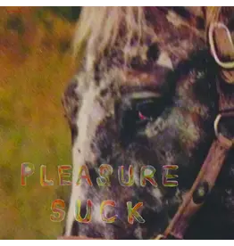 Spirit of the Beehive - Pleasure Suck (Orange Vinyl)