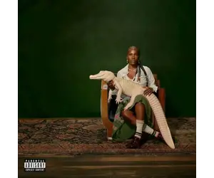 欧LP Doechii Alligator Bites Never Heal 00602475859116 Top Dawg Entertainme /00260 71o4PjUw+IL._UF1000,1000_QL80_.jpg