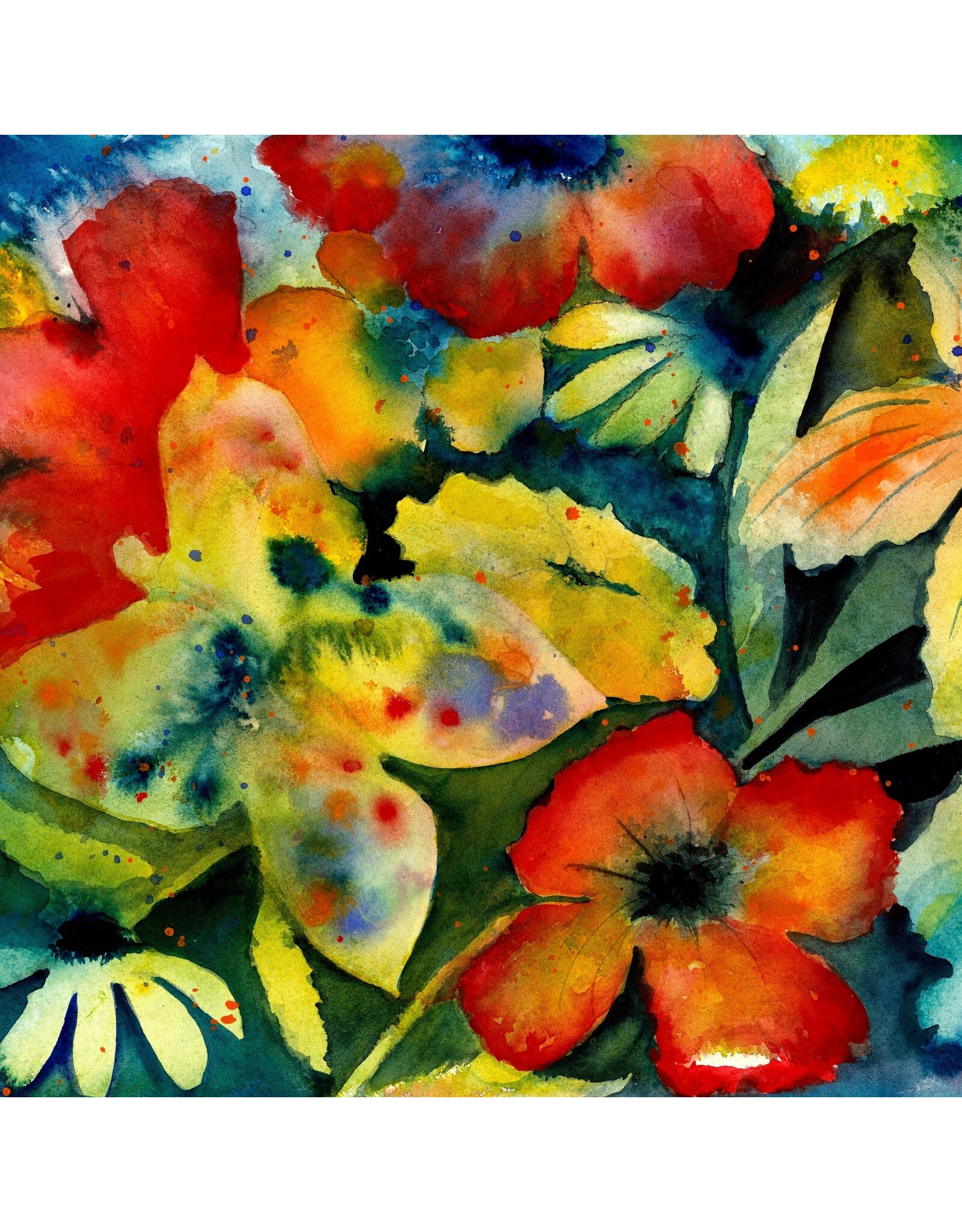 Adrianne Lenker - Songs and Instrumentals