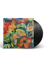 Adrianne Lenker - Songs and Instrumentals